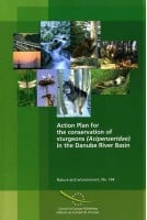 Action Plan for the...
