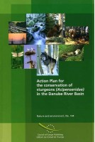 PDF - Action Plan for the...
