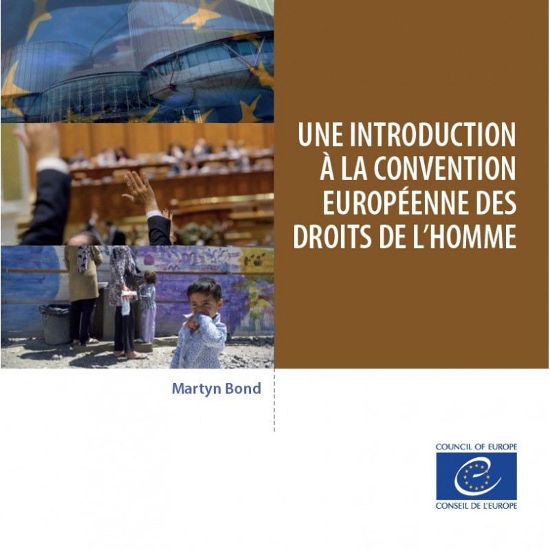 Article 7 Convention Européenne Des Droits De L Homme