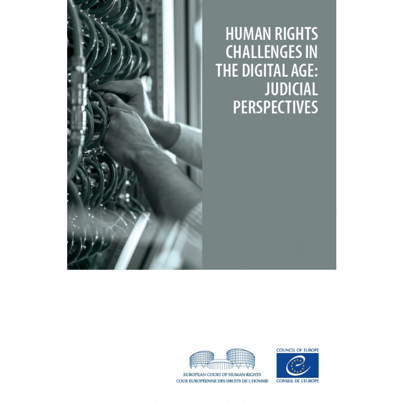 Epub - Human Rights Challenges In The Digital Age: Judicial Perspectives