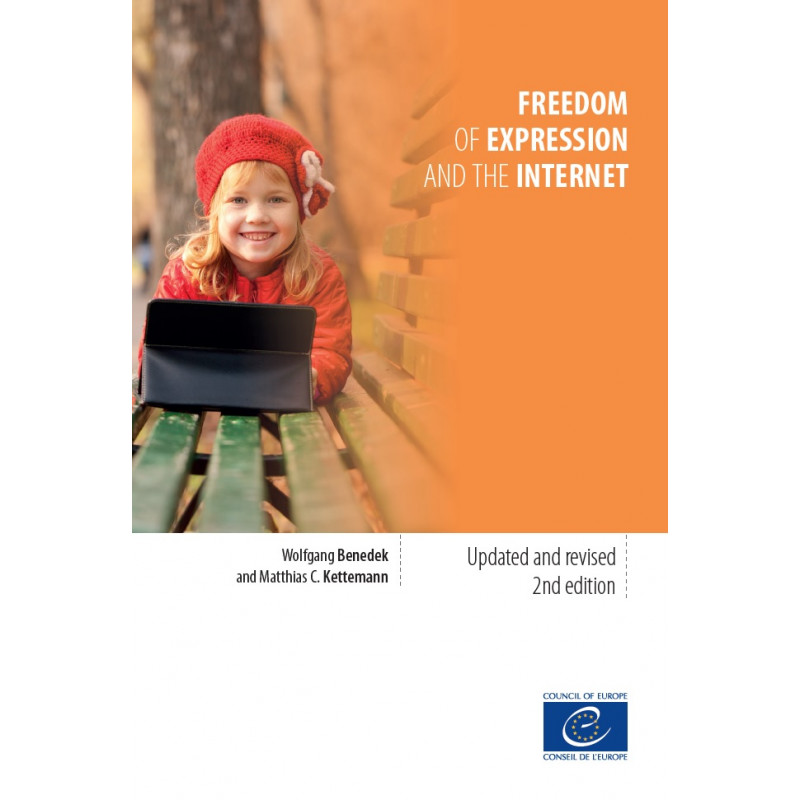 freedom of expression on the internet essay